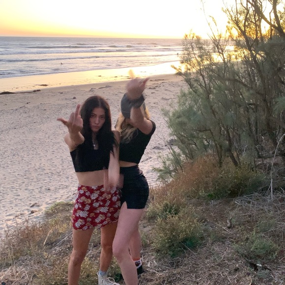 Meet your Posher, Sierra - Picture 1 of 1